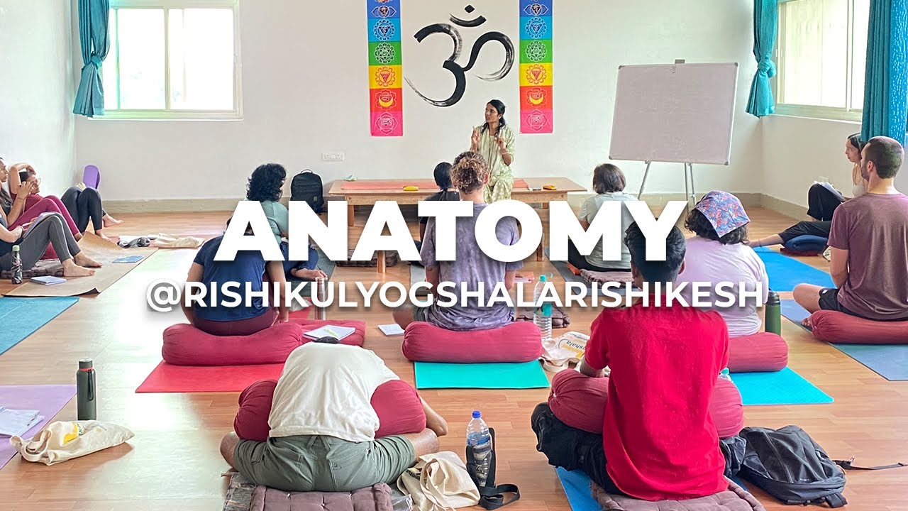 Yoga Anatomy | Yoga Teacher Training | Rishikul Yogshala Rishikesh