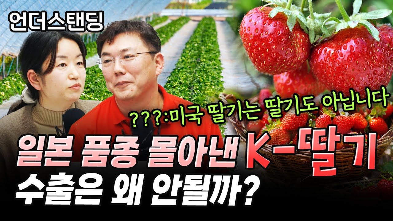 (2부) 일본 품종 몰아낸 한국 딸기, 수출은 왜 안될까? f. 굿파머스그룹 박홍희 대표, 곽연미 실장