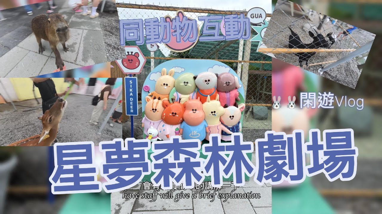 同動物互動。星夢森林劇場。🐰🐰閑遊Vlog