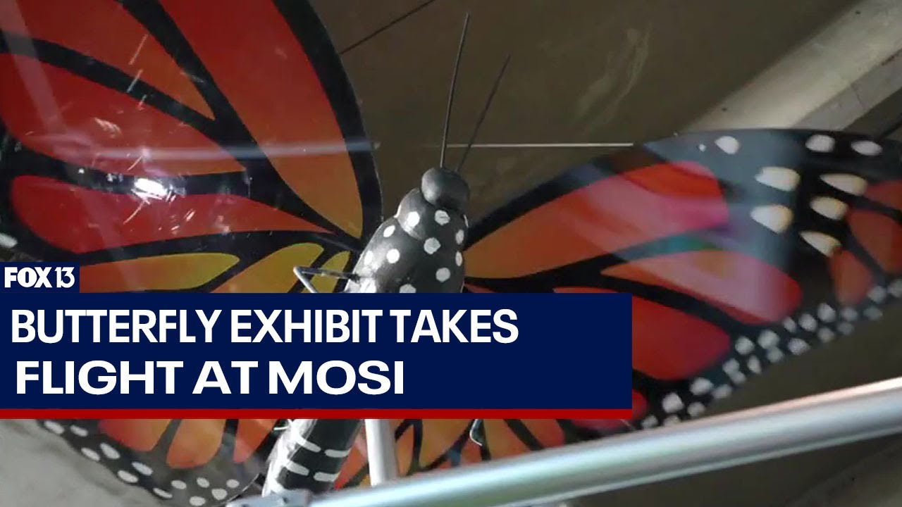 MOSI's new butterfly exhibit in Tampa