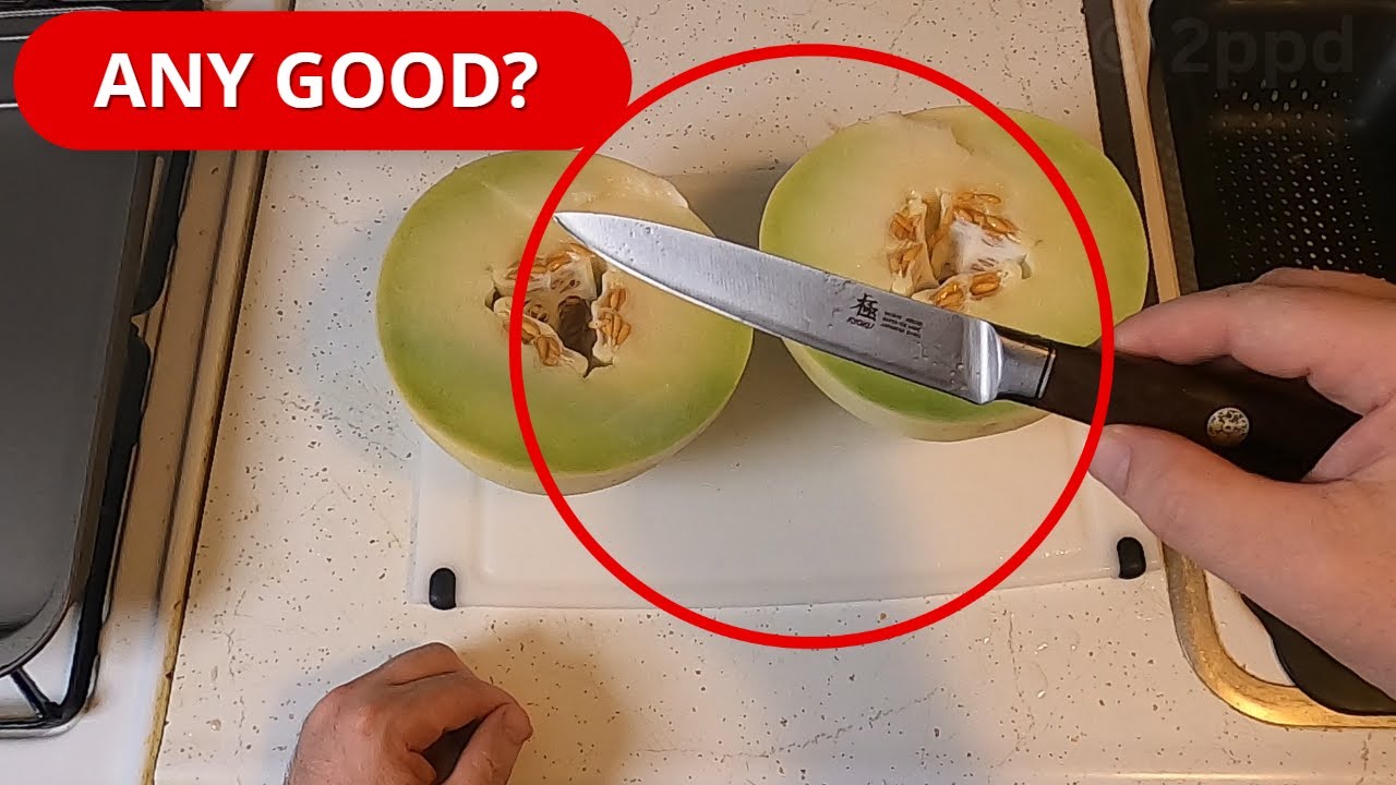 KYOKU 5 Inch Utility Knife (Review)