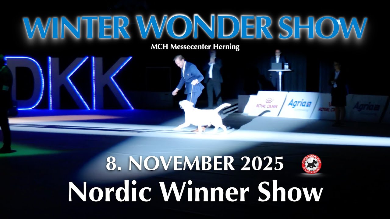 Winter Wonder Show 2025 - Nordic Winner Show