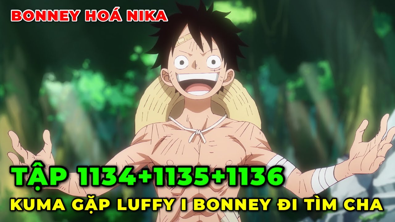 REVIEW ANIME ONE PIECE TẬP 1135+1136 l BONNEY SỬ DỤNG SỨC MẠNH CỦA NIKA I QUYẾT TÂM RA KHƠI TÌM CHA