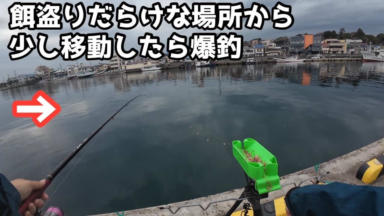 餌盗りだらけな場所から少し移動したら爆釣