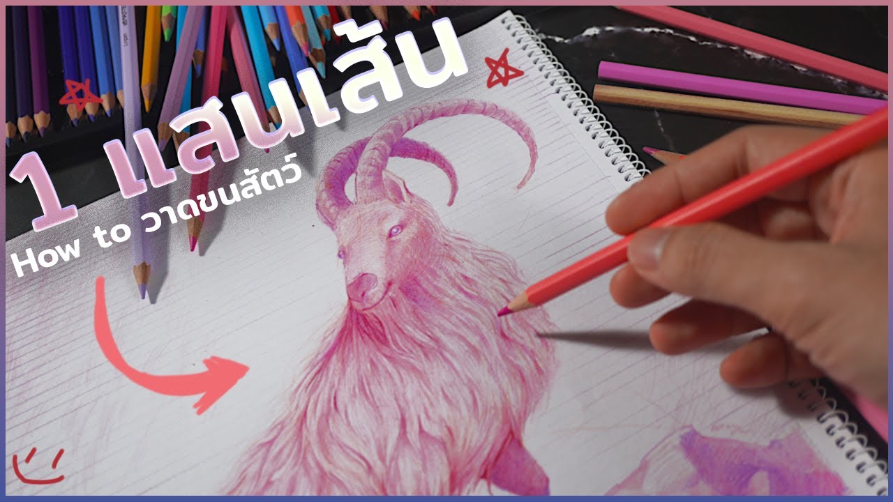 วาดรูปด้วย 1 แสนเส้นได้ ? how to วาดขนสัตว์ด้วยสีไม้ AD