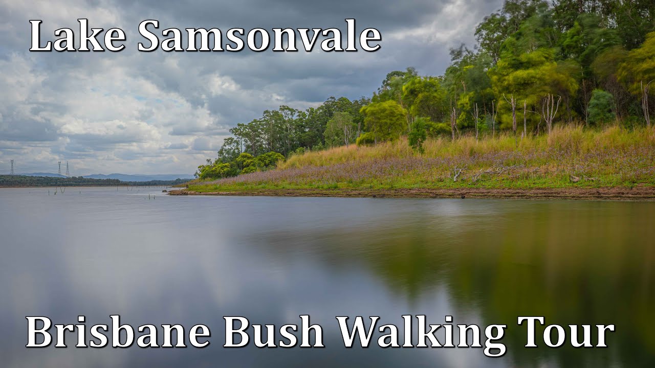Brisbane Bush Walking Tour - Lake Samsonvale