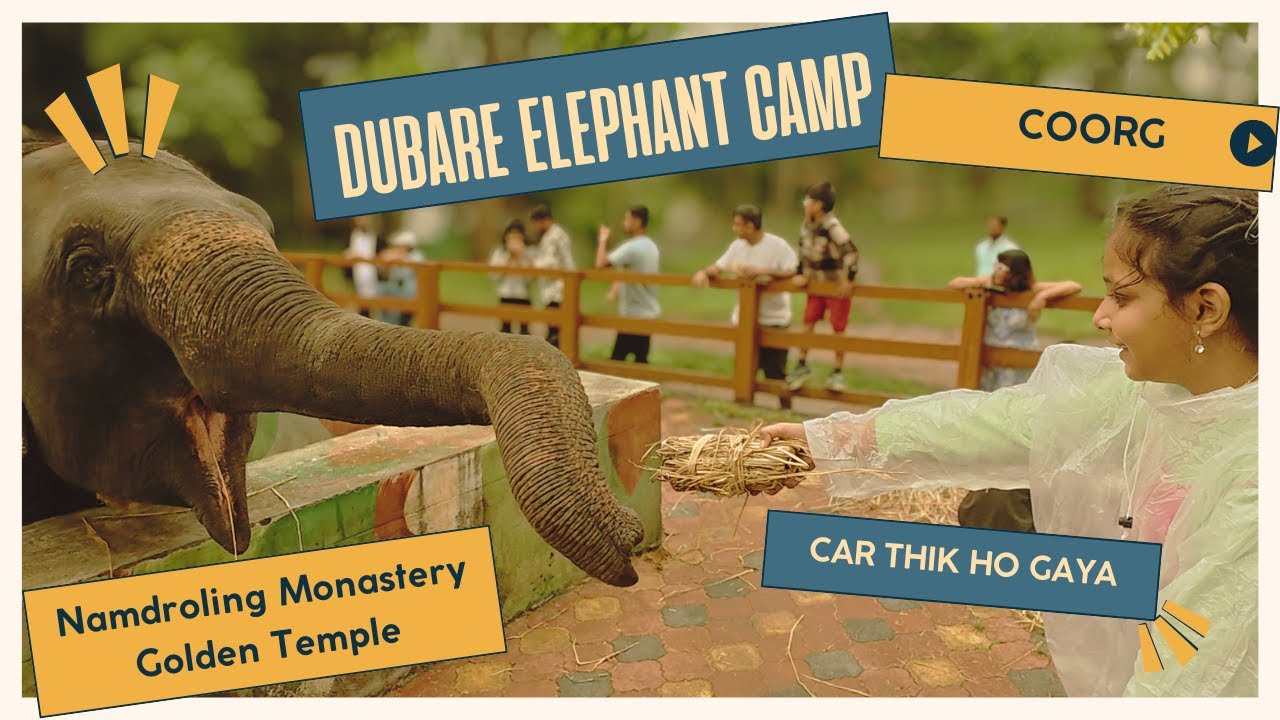 Mumbai To South India Road Trip 2025 | Day:5 Coorg’s Hidden Gem|Golden Temple & Dubare Elephant Camp