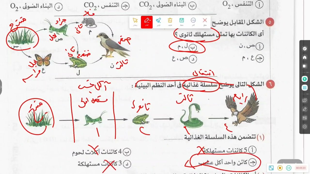 حل كتاب الامتحان علوم متكاملة ترم ثاني 2026 _ الدرس الأول part 2_ اهم مسائل السلسلة الغذائية 