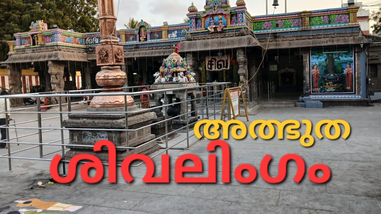 Arulmigu Kurungaleeswarar UNNI 'S world കുരുങ്ങാലീശ്വരർ ക്ഷേത്രം 