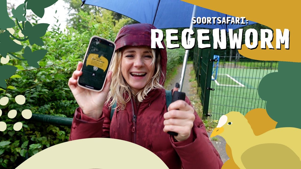 Een kletsnatte zoektocht naar de regenworm | SoortSafari