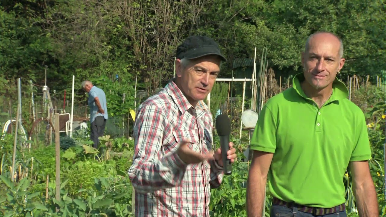 TRENTO: ALLA SCOPERTA DELL'AGRICOLTURA URBANA