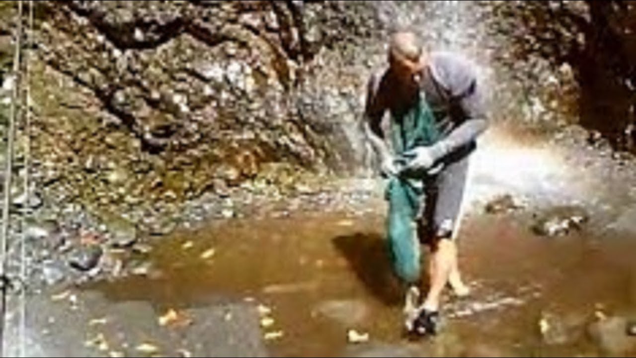 Pêche aux  Chevaquines ou chevrette 974