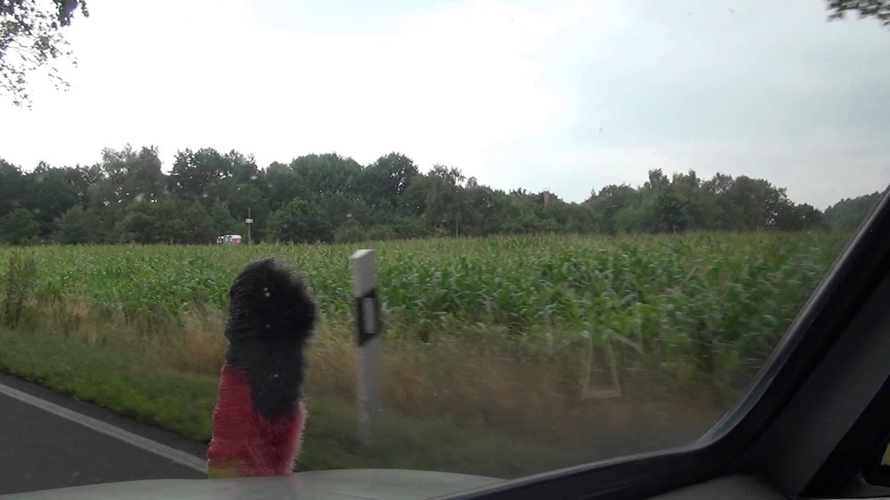 Neu Pinnow & Garlin Gemeinde Karstädt Kreis Prignitz 8.8.2013