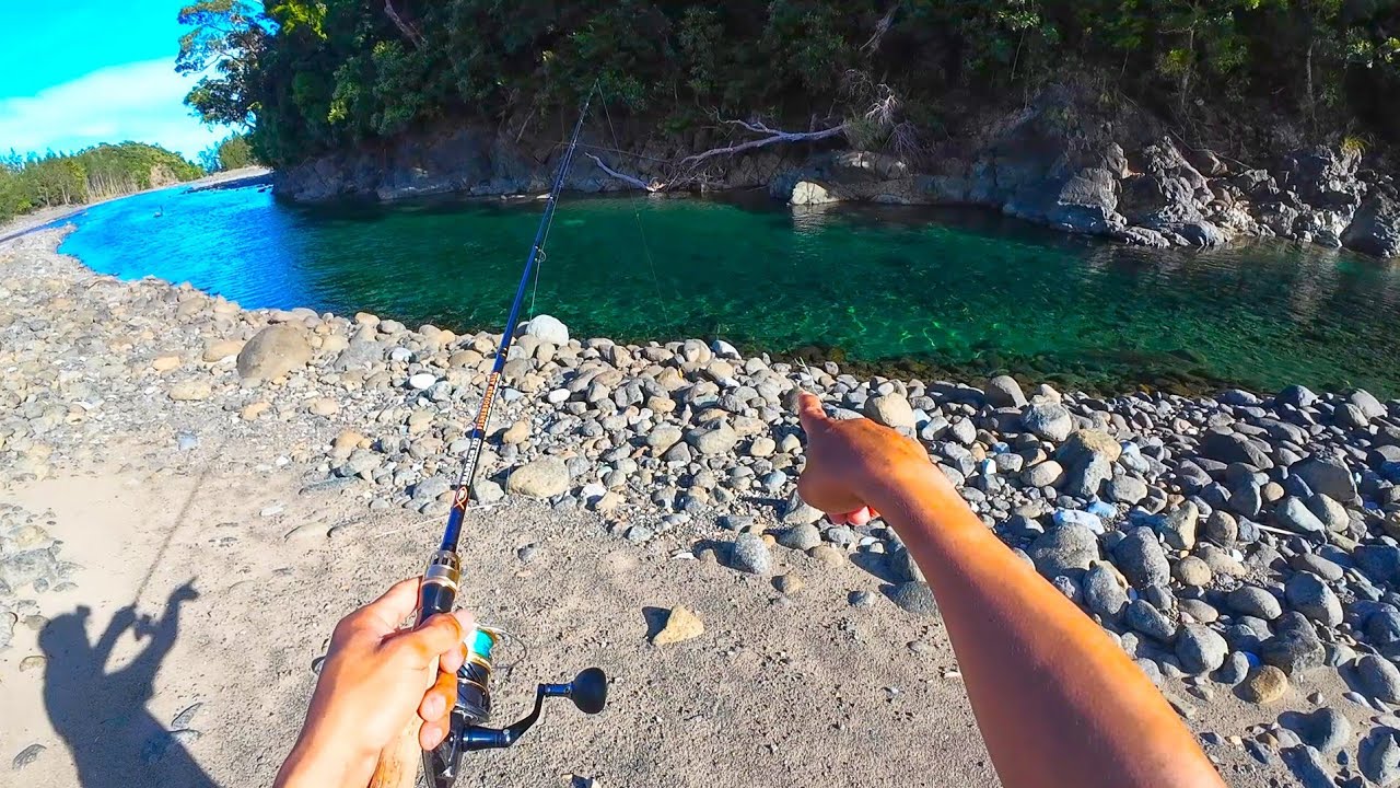 Malinaw at tahimik na ILOG, Bahay ng mga Isda