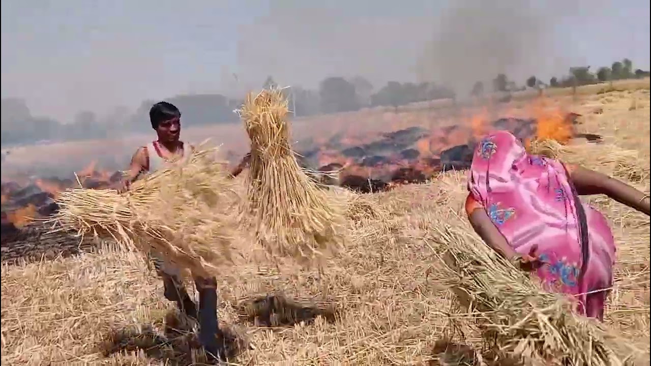 #farming #lifeisbutadream #whowillbemylifepartnerta #agriculture #kisan 😭😭😭