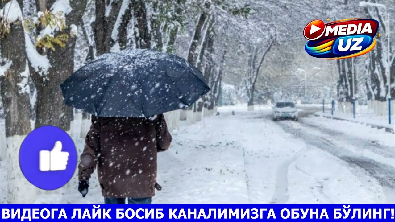 19-22 МАРТ КУНЛАРИ ОБ-ХАВО ПРОГНОЗИ | УЗГИДРОМЕТ ОГОХЛАНТИРДИ