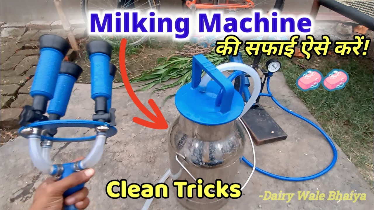 हैंड मिल्किंग मशीन की सफाई ऐसे करें! | Dairywale Bhaiya | पूरी Step by Step प्रक्रिया 🐄🧼 #dairy 