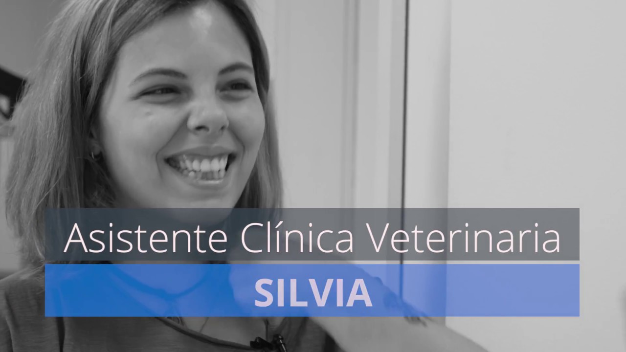 ¿Cuál es el trabajo de un ATV? Silvia, Escuela Veterinaria MasterD Opiniones