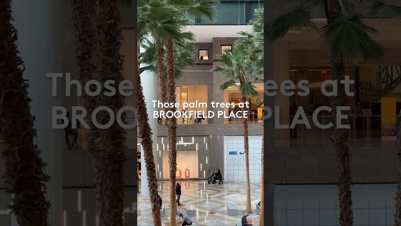 Brookfield Place has one of the only real palm trees in NYC.