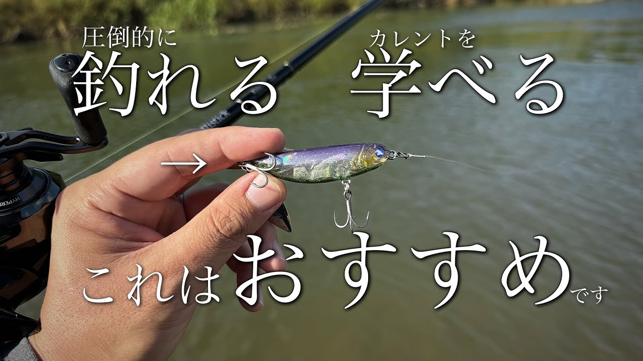 【ベイトシーバス】デイリバーシーバスで圧倒的に釣れるルアーを紹介…流れの釣りも学べる成長に必要なルアー…