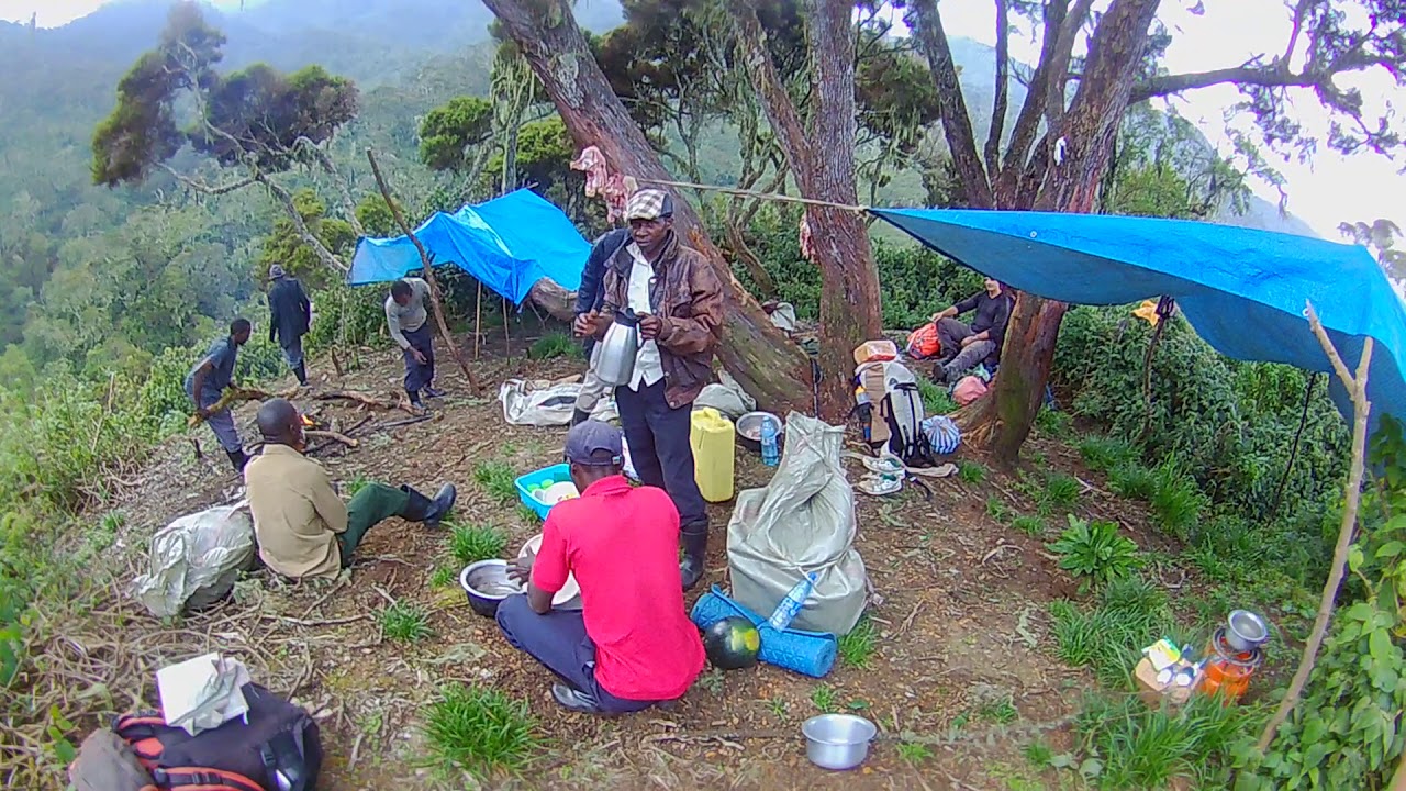 Our first camp in the Rwenzori Mountains