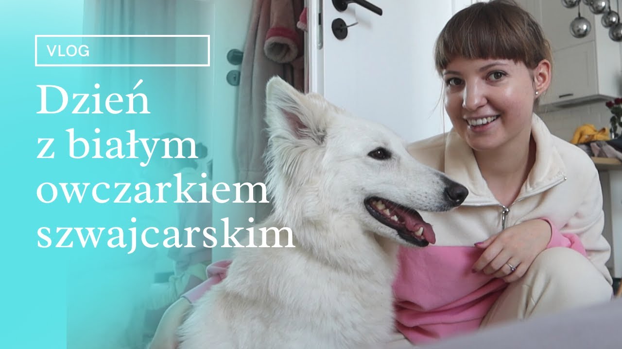 😍 Dzień z życia opiekuna białego owczarka szwajcarskiego 🤩 VLOG