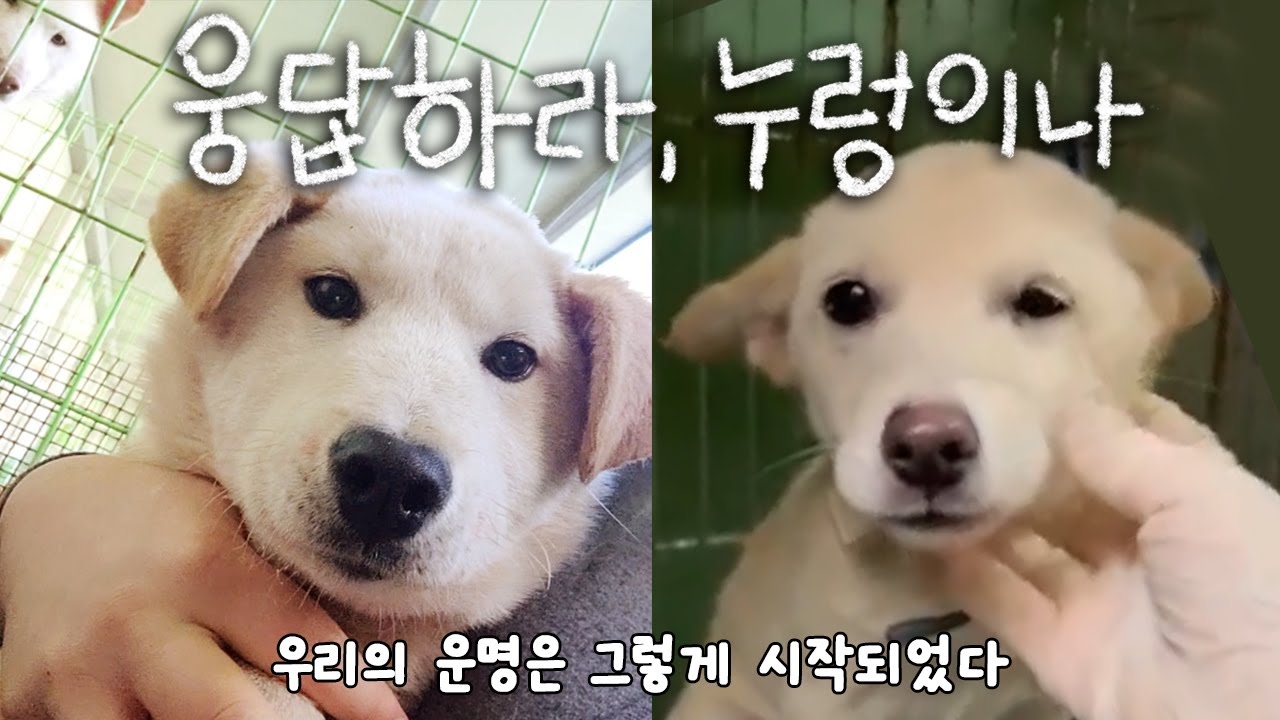 이레 구조 이후 시작됐던 웅이와 이나의 세상 밖, 첫 걸음 (티저)