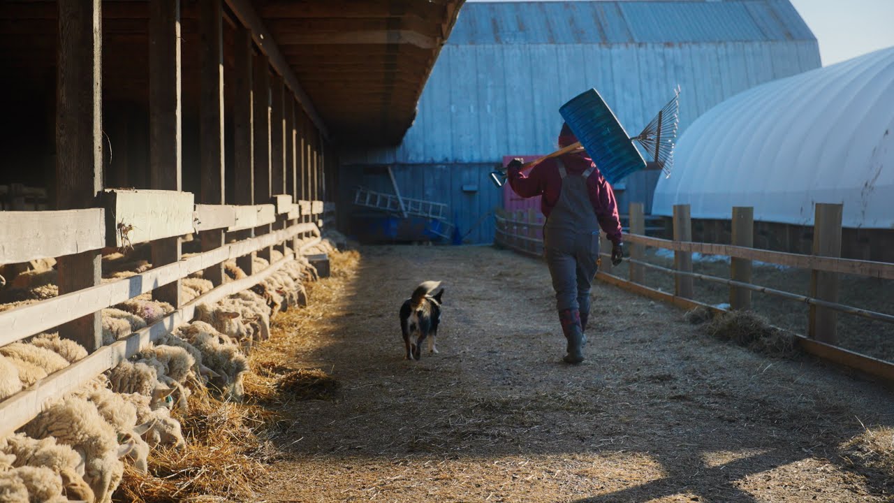 Linc Farm - Room to Grow