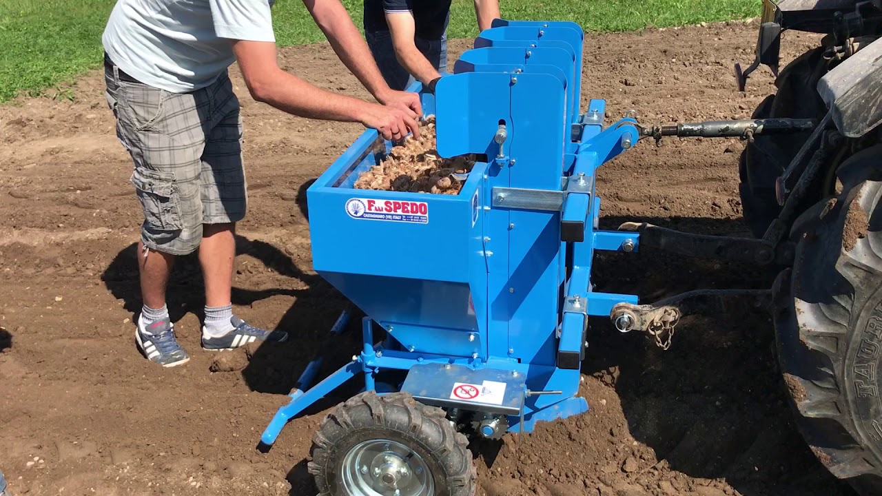 Spedo: Un prototipo innovativo per la coltura dello zafferano. Primo video