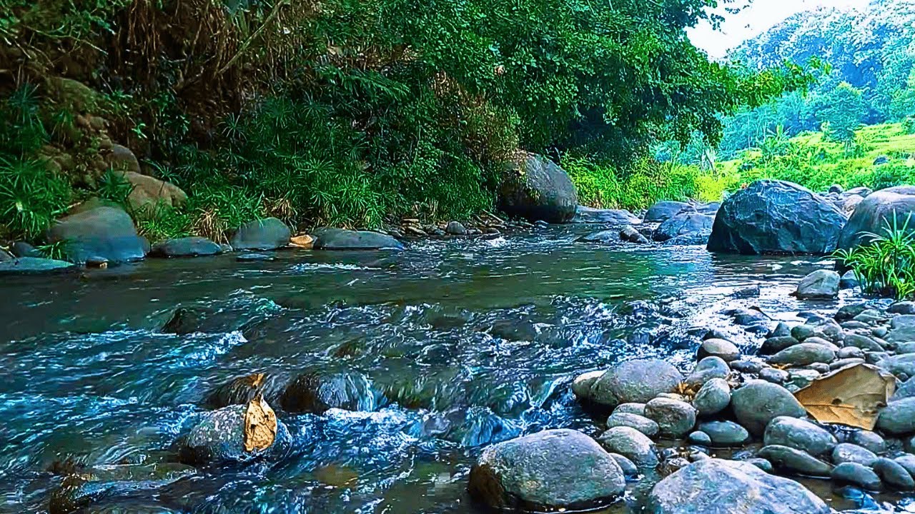 RELAXING SOUNDS FOR SLEEPING | BEAUTIFUL FLOWING STREAM IN NATURE FOR RELAXATION & MEDITATION #b14