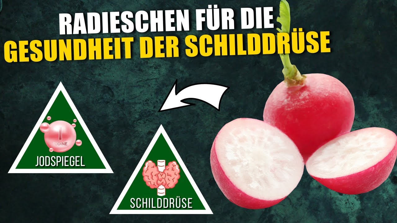 Wie der t&auml;gliche Verzehr von Radieschen die Gesundheit der Schilddr&uuml;se f&ouml;rdern kann!