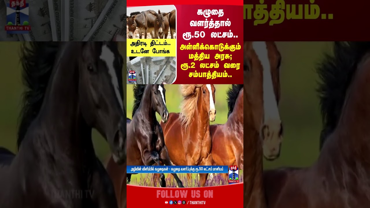 Donkey | Centralgovernment | money