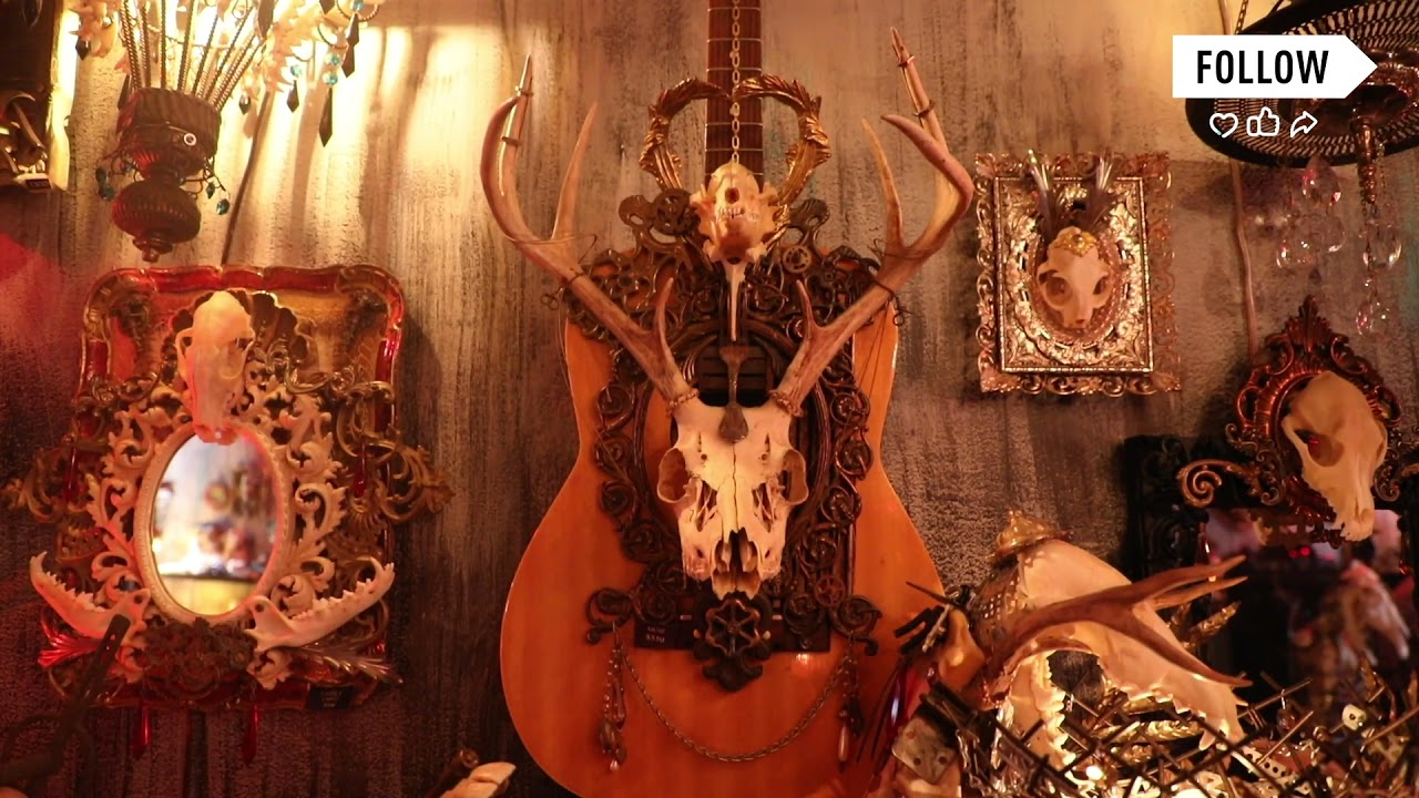 Artist turns skulls into art