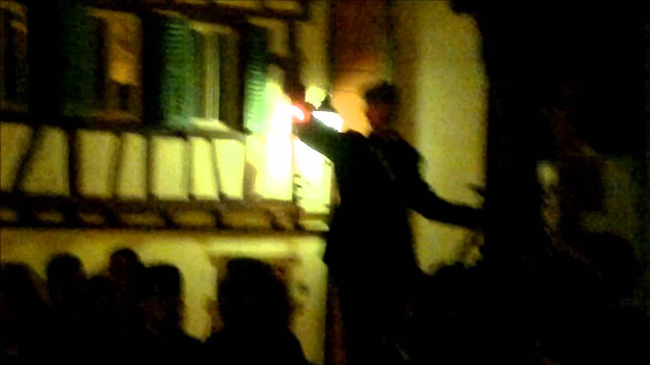 Fackelzug Weinheim 2011