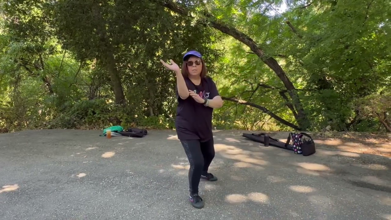 Tai Chi 28 Form