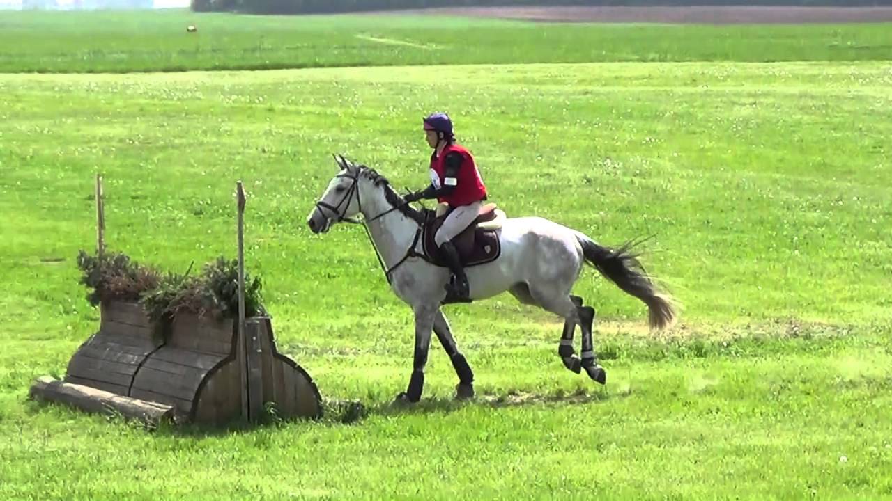 Pintér Vanda - Noddy - A0 - Bábolna 2016