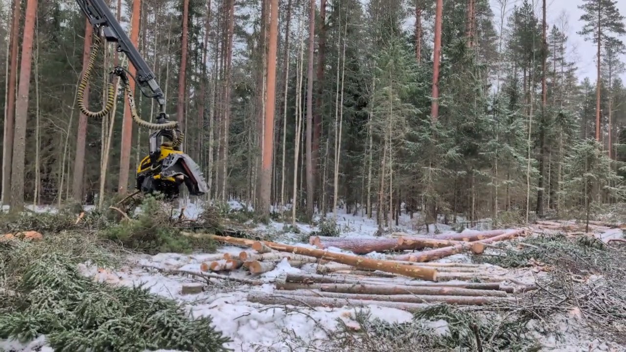 Ponsse Cobra 8W Harvester