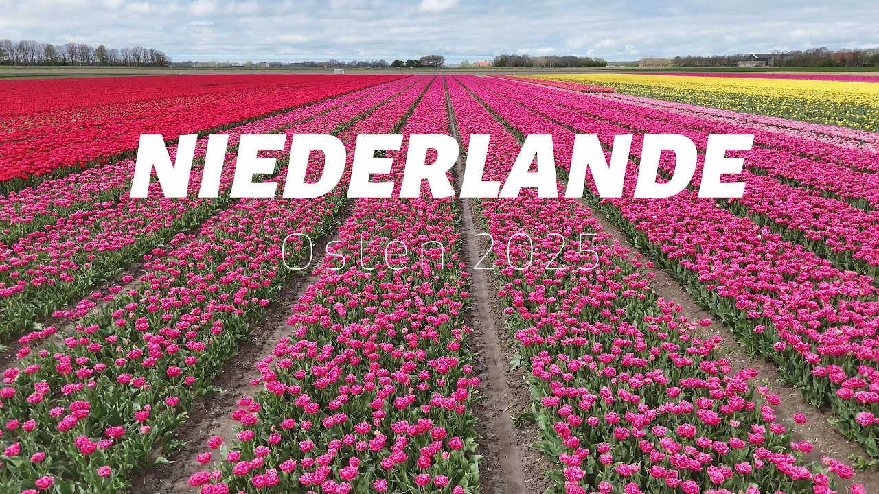 Niederlande Osten 2025