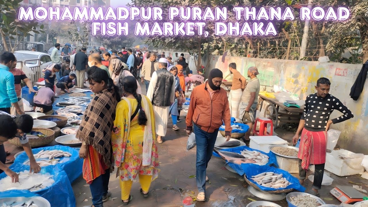 Mohammadpur Puran Thana Road Fish Market, Dhaka February 7, 2026 || মোহাম্মদপুর পুরান থানা রোড, ঢাকা