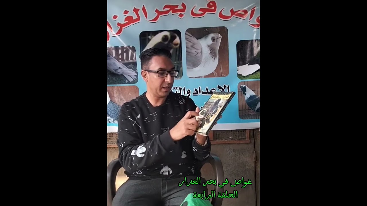 سلالات الحمام المصري التوثيق #كرم_فريد #وليد_زكريا_الاستاذ