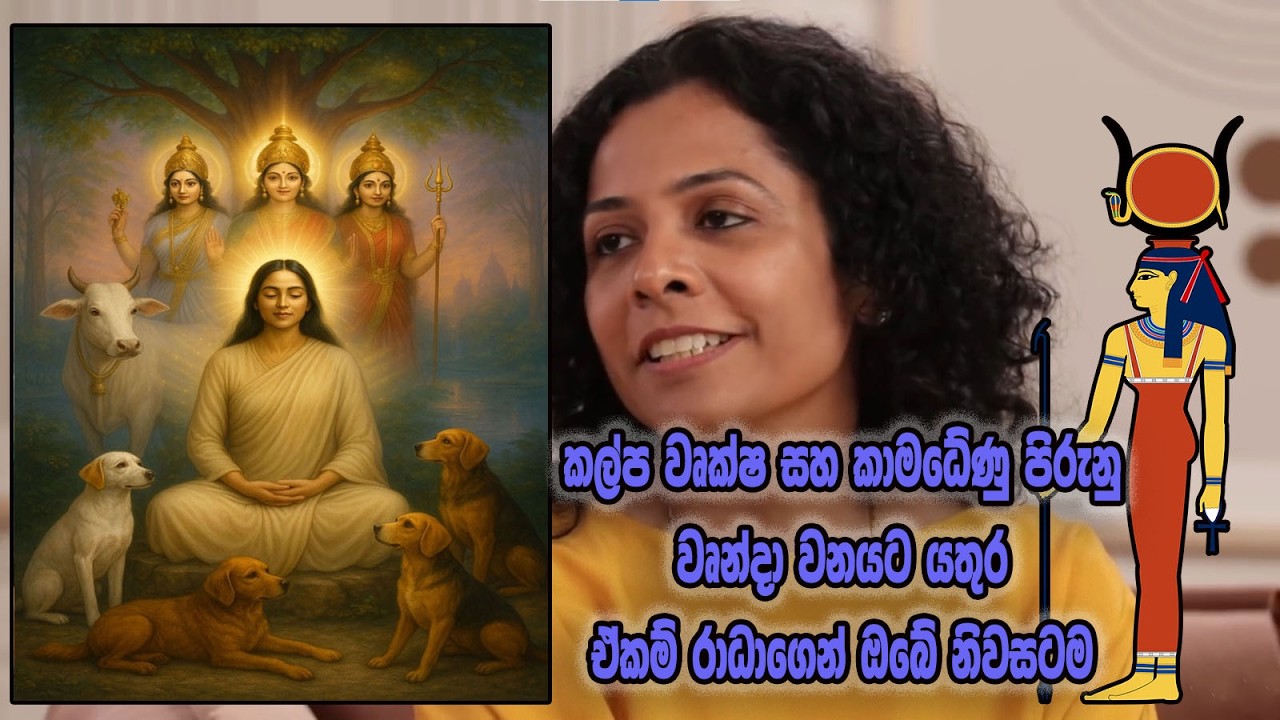 කල්ක්ප වෘක්ෂ කාමධේණු පිරුණු වෘන්දා වනයට යතුර ඒකම් රාධාගෙන් ඔබේ නිවසටම...