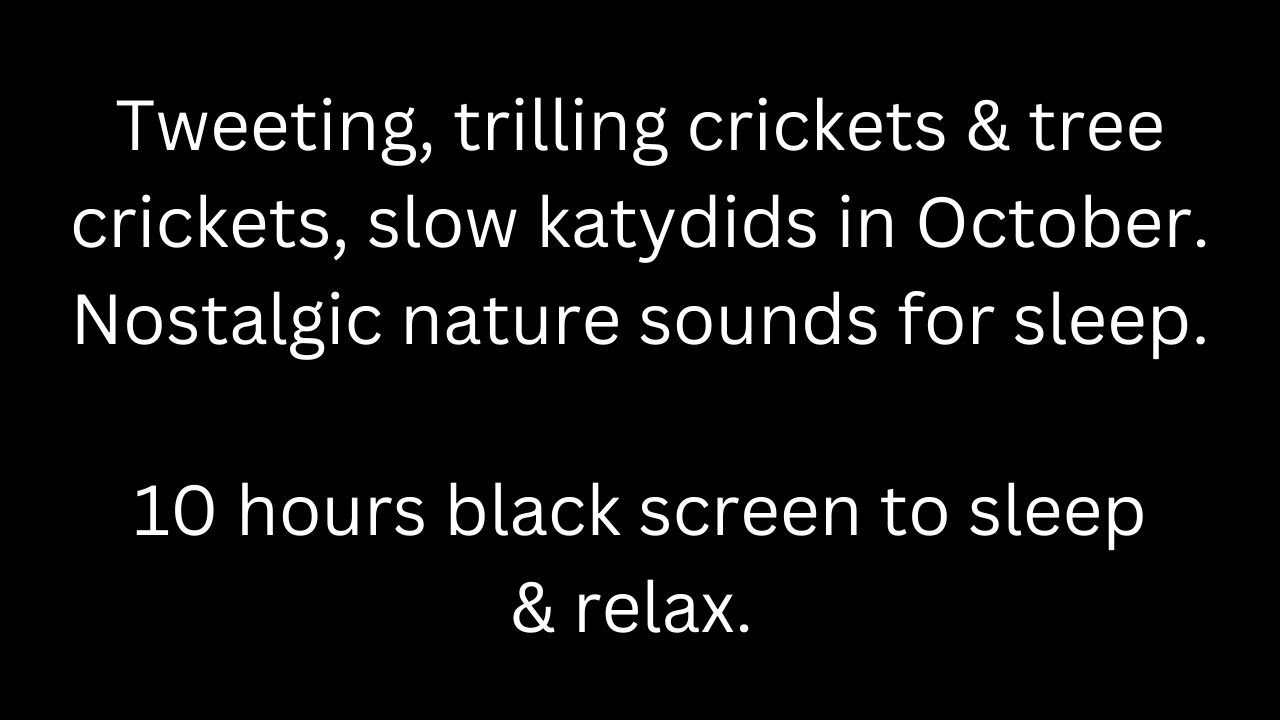 Tweeting trilling crickets tree crickets slow katydids in October black screen 10 hour cricket sound