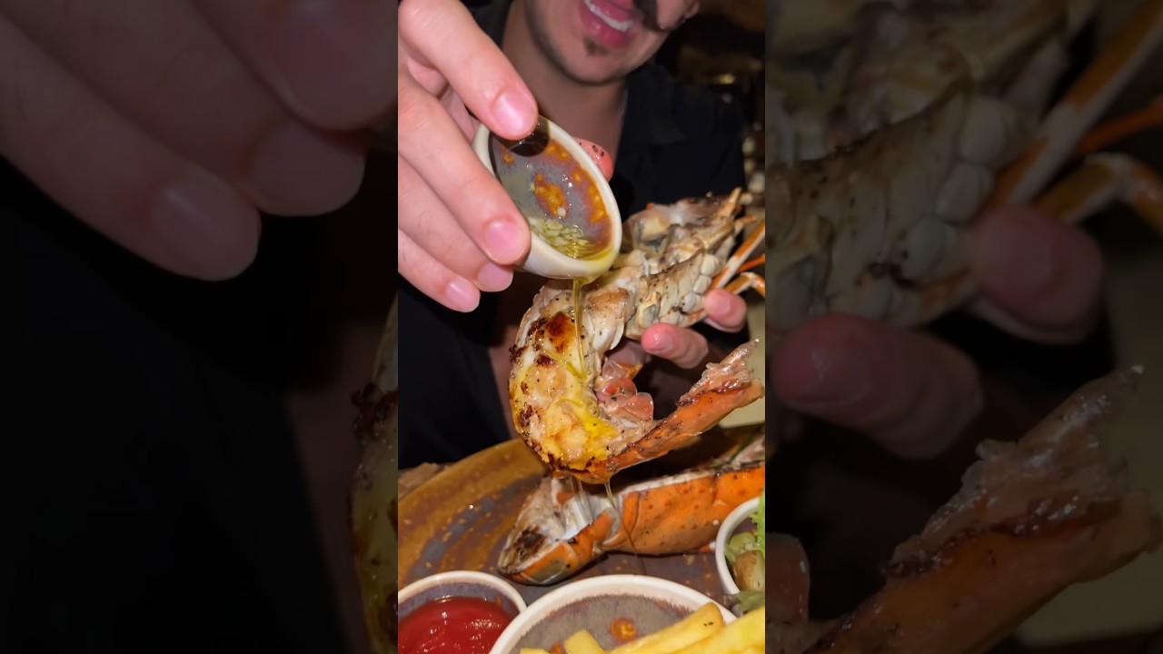 PRIMEIRA VEZ COMENDO LAGOSTA FRESCA 2
