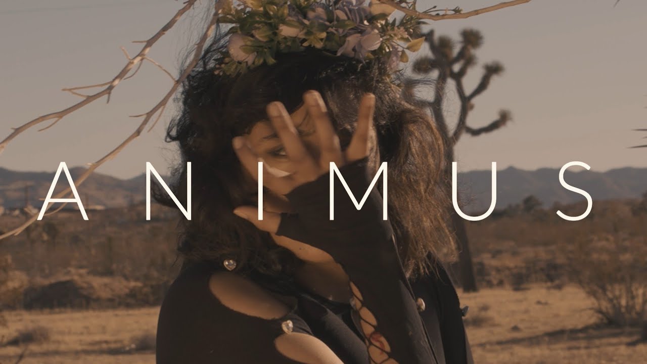 Freycus - Animus [Official Music Video]