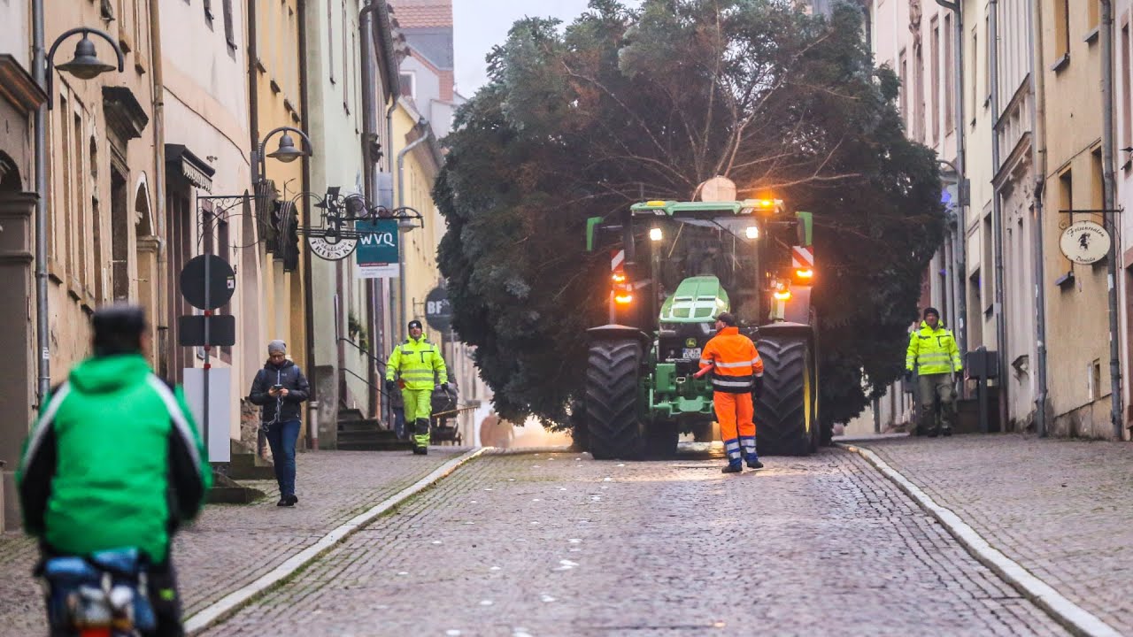 Der Weg des Weihnachtsbaums