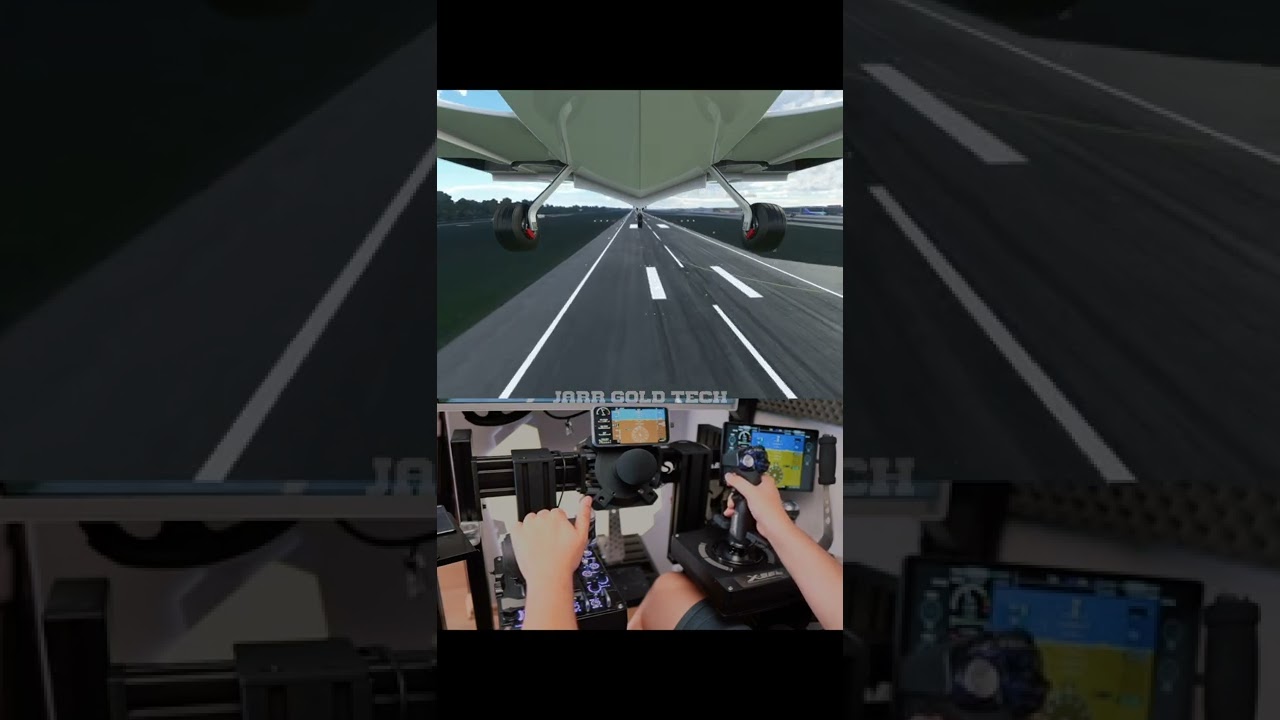 It was easy landing / Logitech X56 Realistic flying