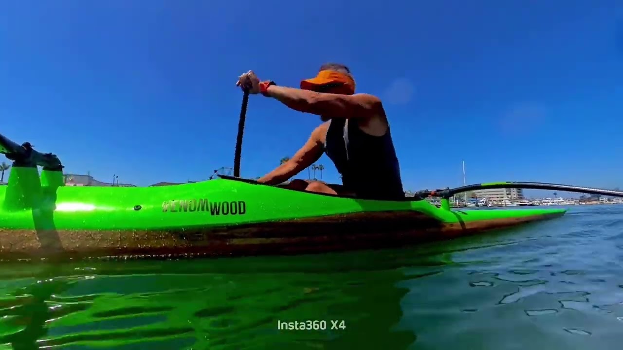 Sea Lion surprise