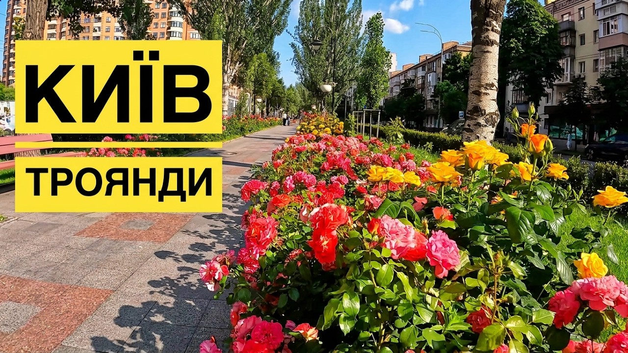 Київ, бульвар Лесі Українки, троянди.