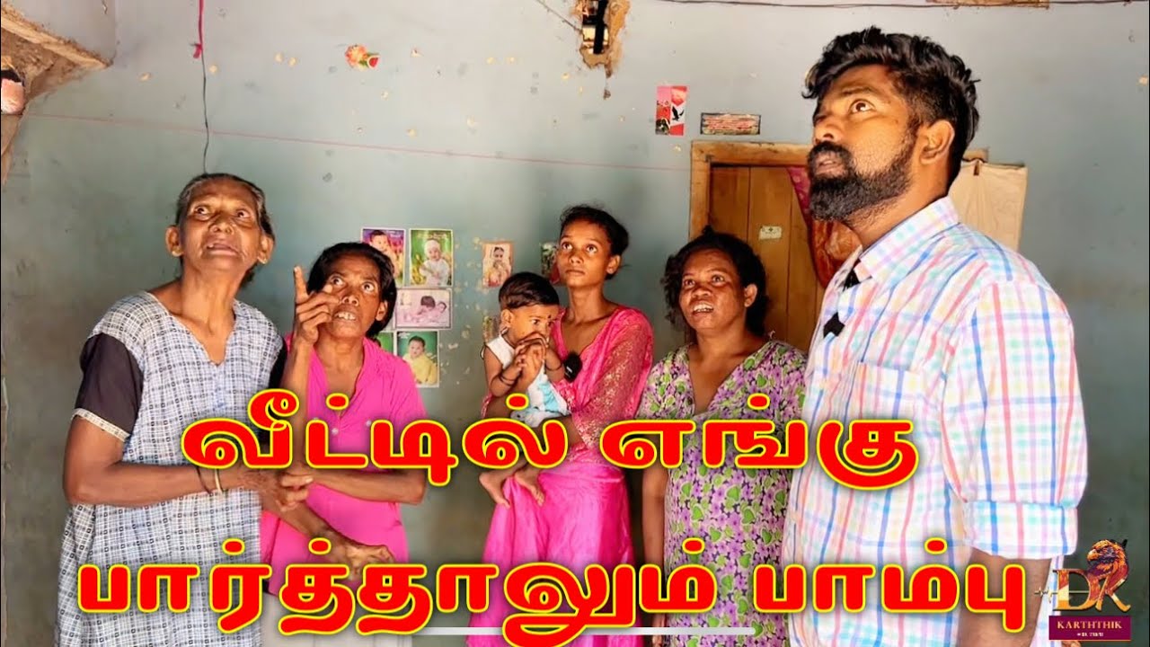 வீட்டில் எங்கு பார்த்தாலும் பாம்பு dk karththik dkvanni