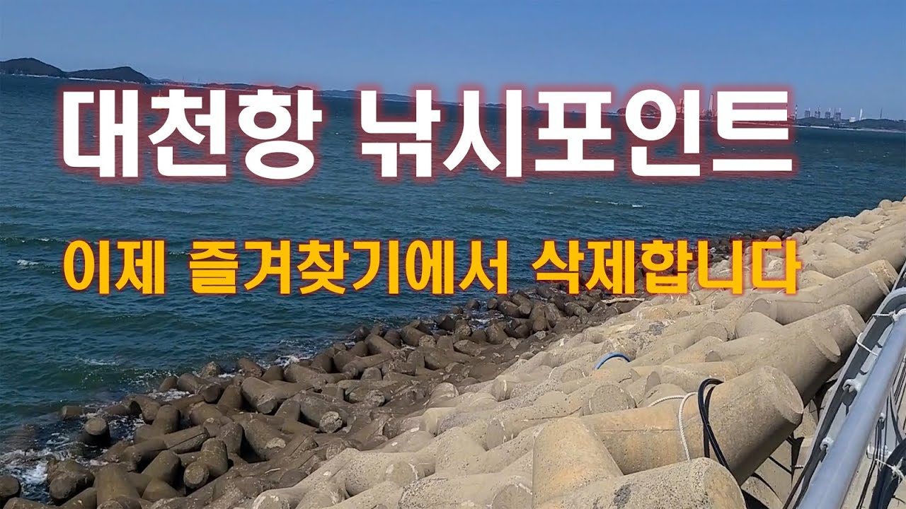 보령 대천항 낚시 포인트 최근 상황~